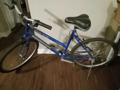 Renegade Mountain Lite Columbium Bike, View more