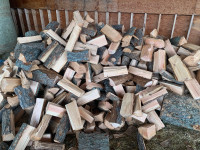 Dead standing fir firewood