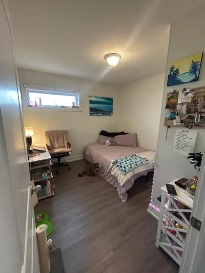 Sandy Hill Room for rent . Looking to rent out a room in a Sandy Hill apartment, next to the Univers...