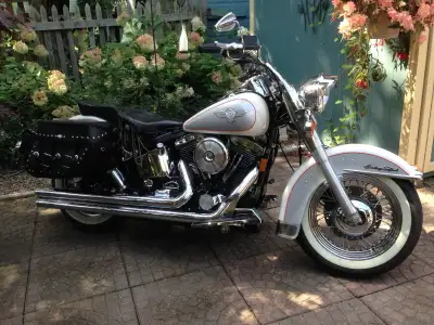 Boss saddle bags as shown $500. OBO