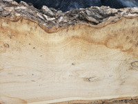 Live edge hardwood slabs - American Elm