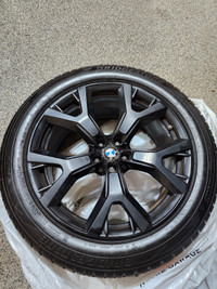 BMW X7 Rims with Winter Tires