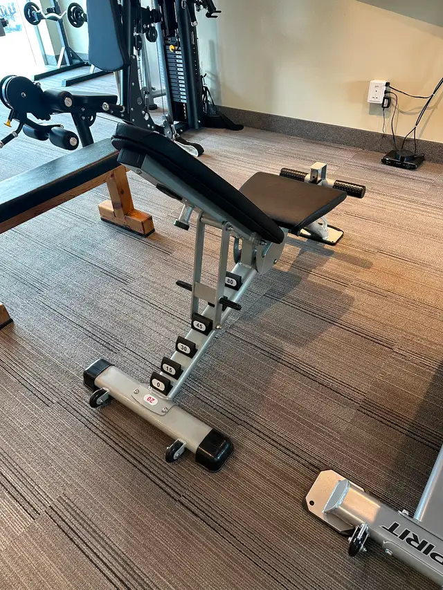 Hoist Style Flat to Decline Bench - new in box63234499561475121