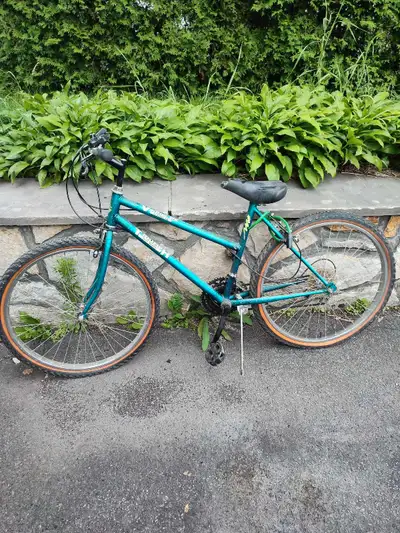 Kijiji bicycles for sale sale