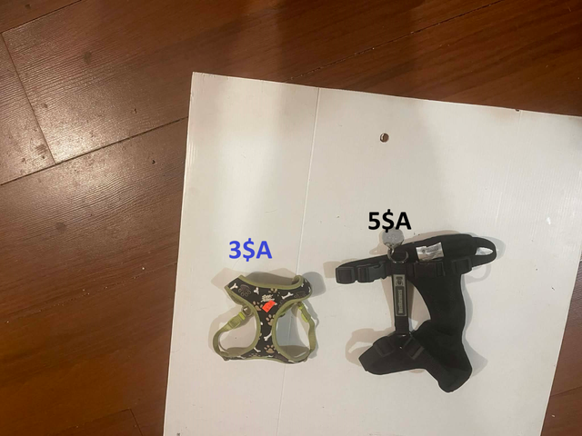 Animaux accessoires variés in Accessories in Lanaudière - Image 2