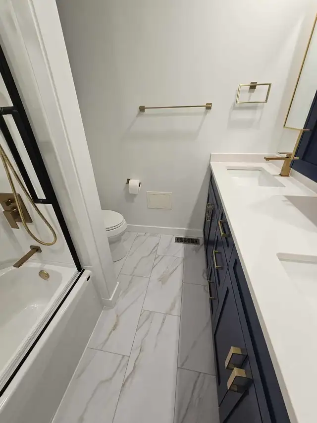 PROFESSIONAL RENOVATIONS 