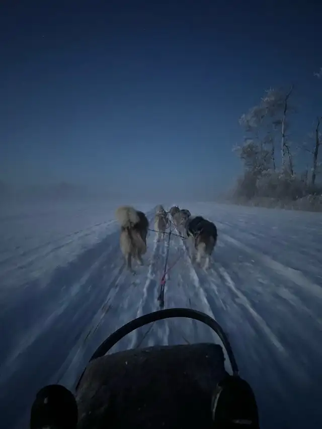 Dog Sledding Adventures64840294090242124