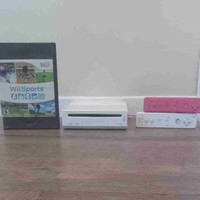 Need a Nintendo Wii  for Cottage? 