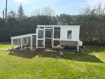 Chicken Coop & Chickens, View more