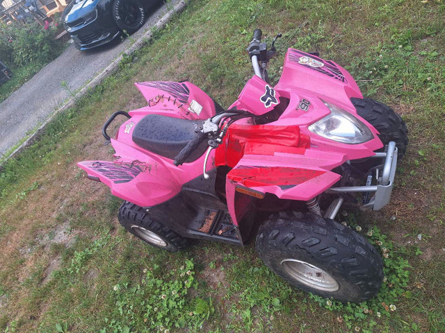 arctic cat dvx90 in ATVs in Kawartha Lakes - Image 3