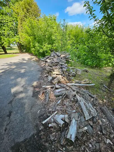 Large pieces of firewood, very dry, not split or cut to any particular length as per the photo. The...