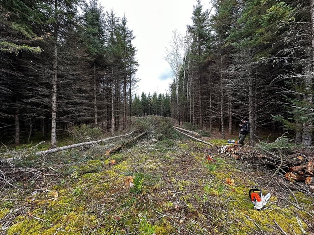 Terrains a vendre à Trois Rives en Mauricie — photo 2