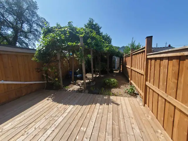 Local Canadian Leaf Cleanup/Snow Removal in Lawn, Tree Maintenance & Eavestrough in Hamilton - Image 9
