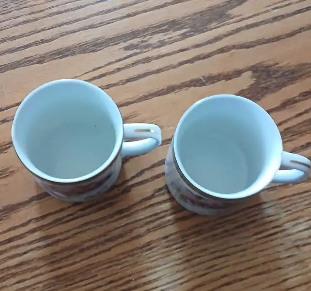 40th Anniversary Cups594166152493148162
