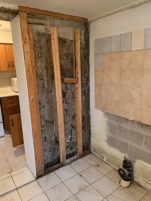 INTERIOR DEMOLITION & RENOVATION PREP | CLEAN in Renovations, General Contracting & Handyman in Oakville / Halton Region - Image 4