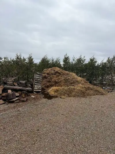 Looking to get 15 tons of manure disposed from a property in Staffa.