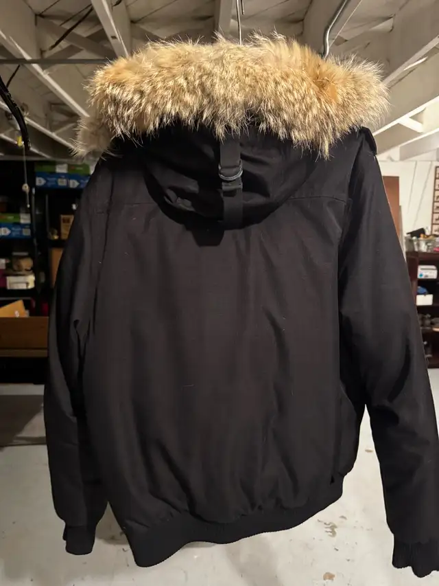 Nobis Bomber Jacket Medium size in Men's in Mississauga / Peel Region - Image 3