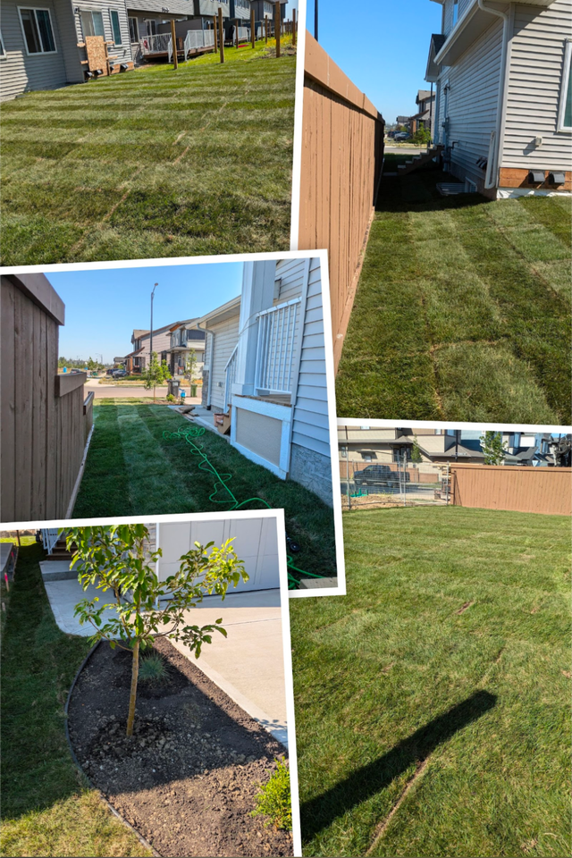 LANDSCAPING AND FENCE in Lawn, Tree Maintenance & Eavestrough in Edmonton - Image 6