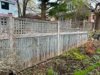 Free - cedar fence panels, used