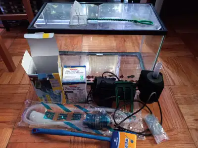 10G setup with clear plexiglass tops, corner sponge filter with, View more