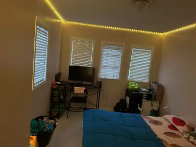 room on rent