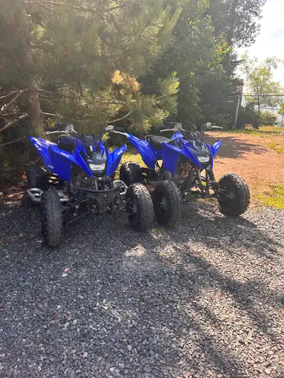 Yamaha raptor, View more
