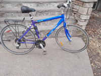 Vélo de ville Miele pour homme à vendre.