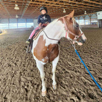 Intermediate to advanced rider wanted for weekly rides