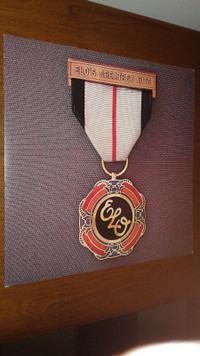 ELO - Greatest Hits Vinyl LPAsking $40.00Vinyl and cover rate