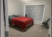 Spacious furnished Room for rent - Vegetarian preferred