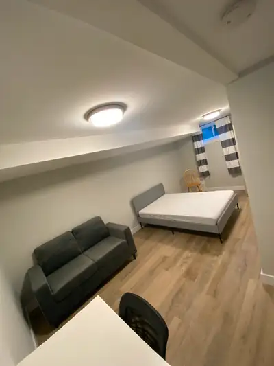 Huge Room For Rent In Luxury Student Rental Near Carleton U!