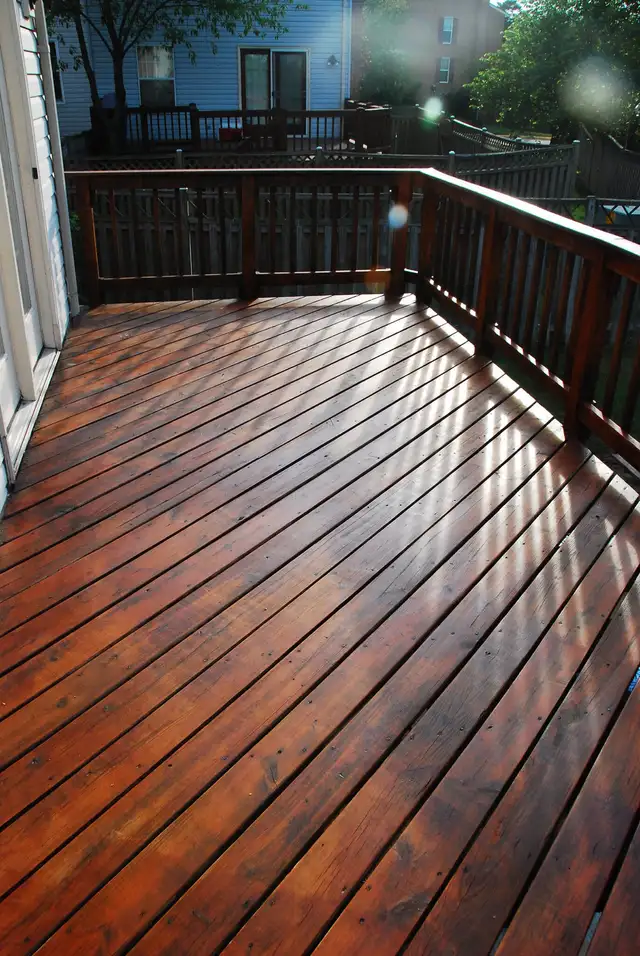 50% off all painting job63006659424513122
