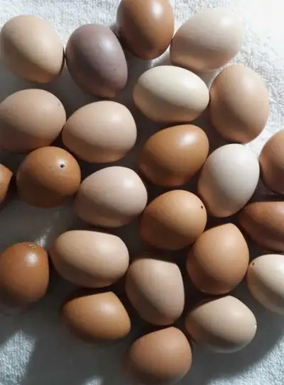 Looking for local farm fresh eggs Within 15 mins of cambridge
