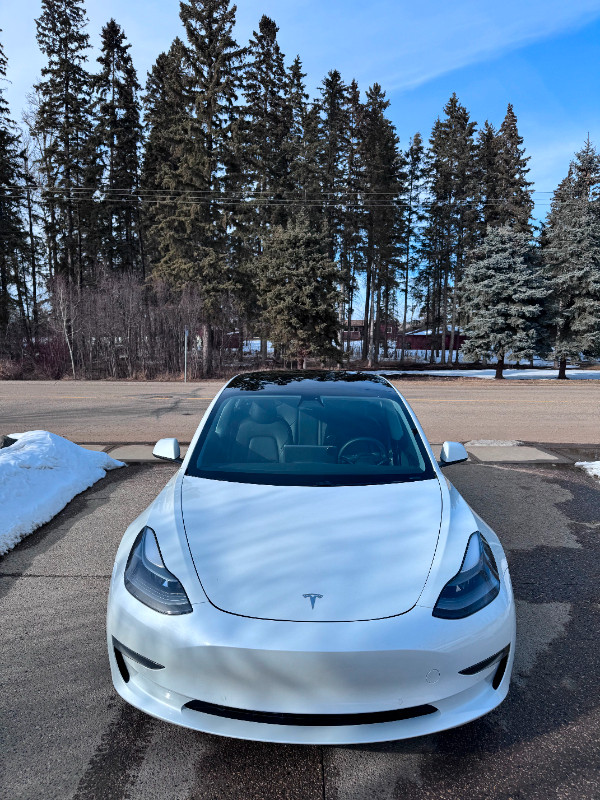 2021 Tesla Model 3 White Standard Range Plus RWD in Cars & Trucks in Red Deer - Image 4