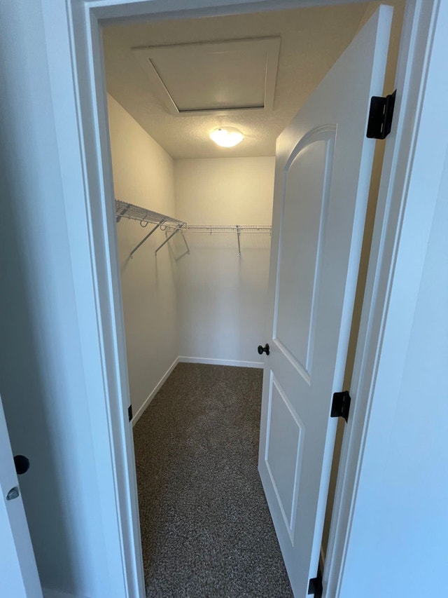 Brand new modern house for rent NW Calgary Long Term Rentals