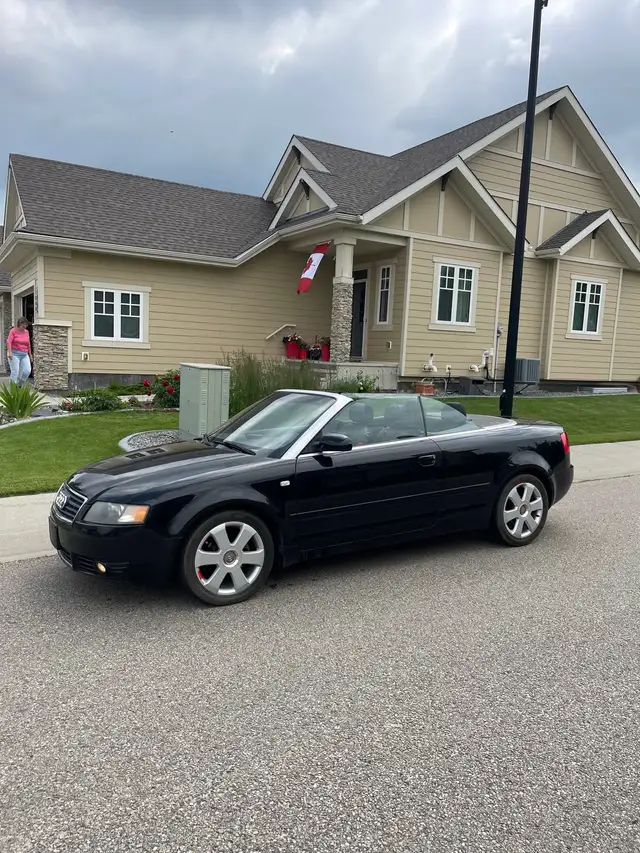 2005 Audi A4506741246490071040