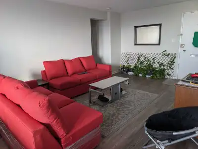 ROOM AVAILABLE IN SHARING , View more