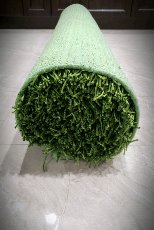 Green Area rug/ Designer series rug / Shag rug/ living room rug in Rugs, Carpets & Runners in City of Toronto