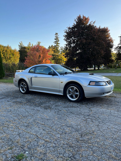 2001 Ford Mustang GT manual