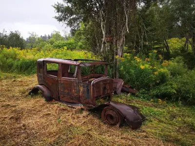 Looking for old abandoned cars, barn finds, or unfinished projects from the 1920s to 1970s. Interest...