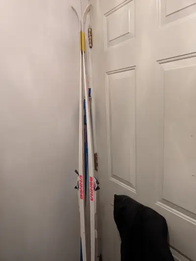 Skis de fond Bonna Tempo II, 210cm et 1 3/4'' de largeur, Fixtures Rottefella. 20$. Batons 155 cm Ex...