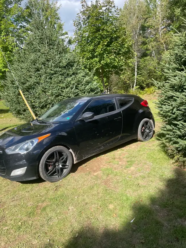 2012 veloster