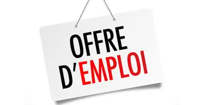 chauffeur-livreur, View more