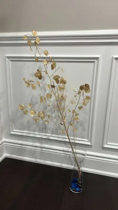 Take everything in this ad for a total of $5. 1 plastic vase with money tree 2 plastic vases with de...