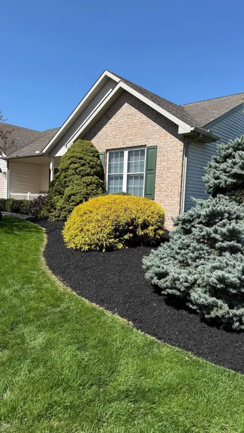 19 year old college student offering landscaping and yard work around Burlington, Hamilton, Oakville...