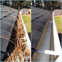 Professional gutter/eavestrough cleaning 