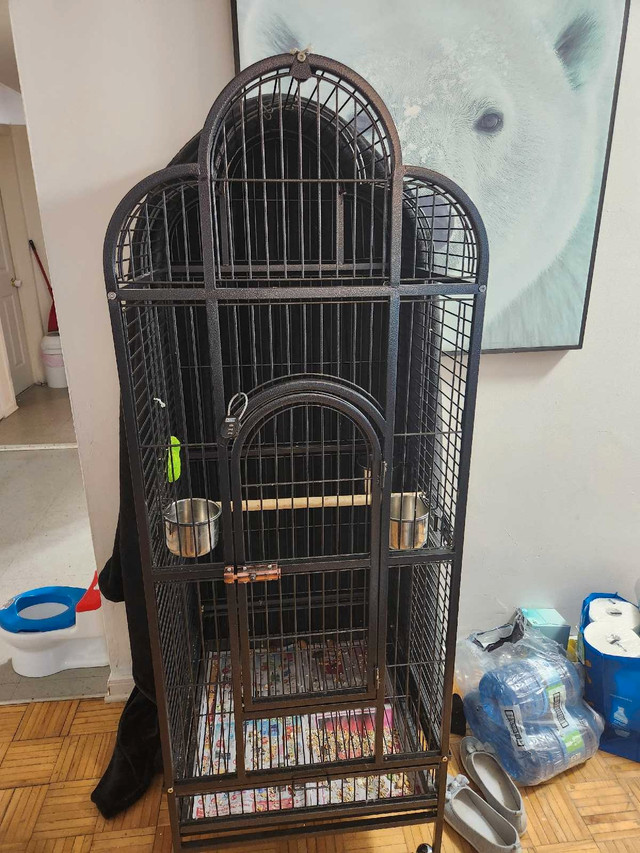 Cage a perroquet neuve  dans Oiseaux à adopter  à Longueuil/Rive Sud - Image 2