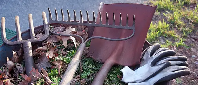 Best Spring Clean Up near Stone Ridge, VA 20105 - Yelp