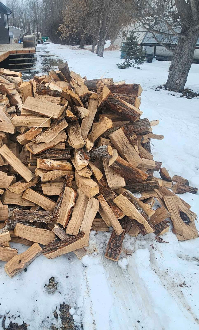 Firewood for sale  in Fireplace & Firewood in Winnipeg - Image 3