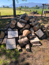 Wood Pile - Fire Wood 